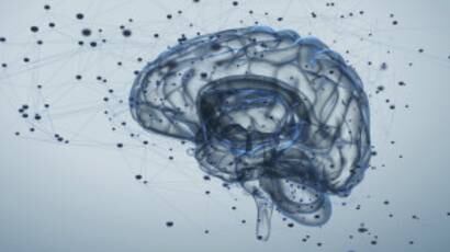 Esto es lo que le pasa a tu cerebro cuando te jubilas, según la ciencia