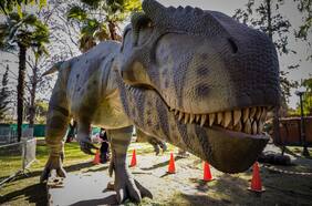 Para divertirse sin gastar: más de 15 panoramas gratis para hacer en vacaciones de invierno