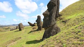 Cómo llegaron los moáis a su sitio en la Isla de Pascua, según un reciente estudio