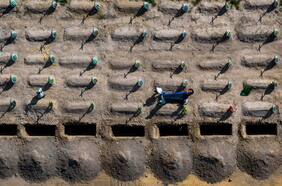 Columna de Anders Beal: Un mundo en conflicto: La política internacional y la influencia de los estados autocráticos