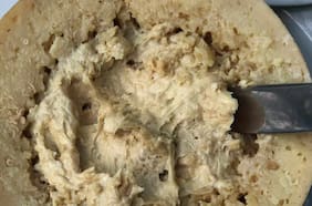Así es Casu marzu, el queso más peligroso del mundo cuya venta está prohibida