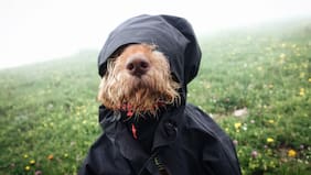 En qué regiones de Chile habrá lluvia este fin de semana, según el pronóstico