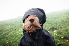 En qué regiones de Chile habrá lluvia este fin de semana, según el pronóstico