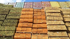 El impacto del nuevo arancel de Trump en las empresas madereras chilenas y sus planes para afrontarlos