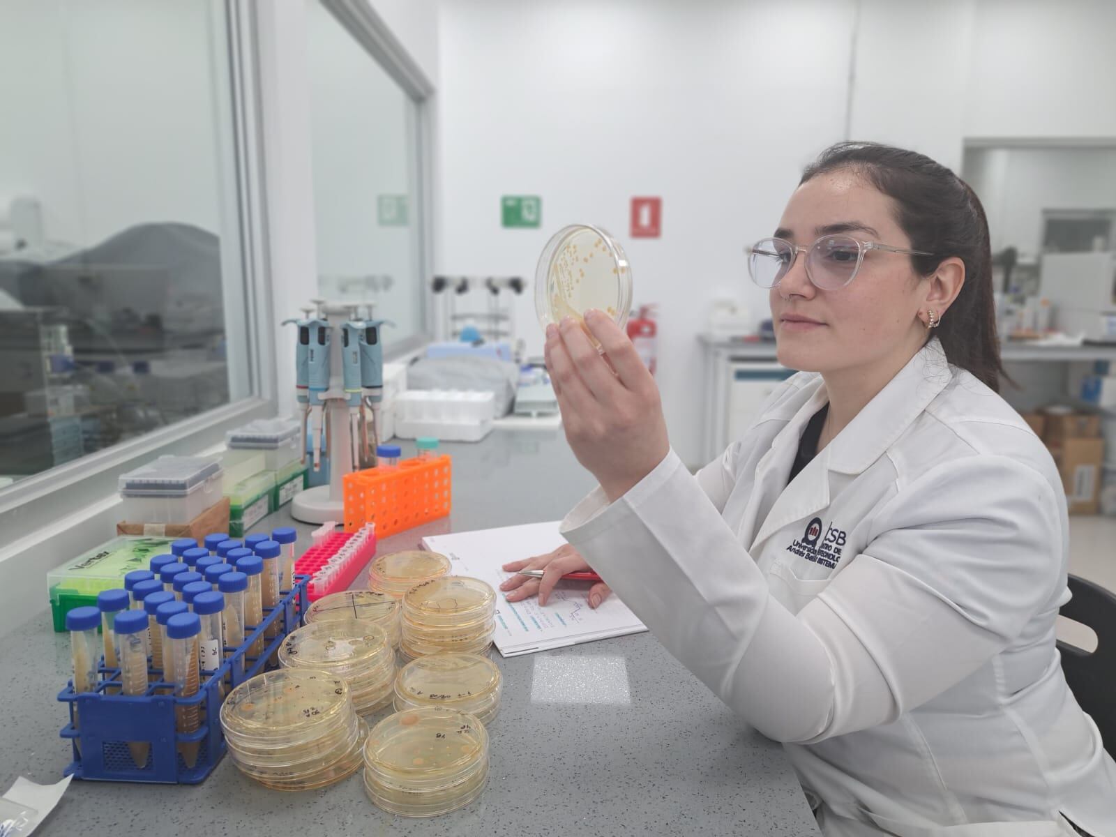 FONDECYT: La base de la pirámide científica nacional