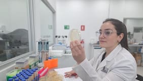 FONDECYT: La base de la pirámide científica nacional