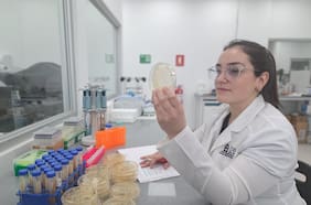 FONDECYT: La base de la pirámide científica nacional