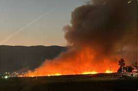 Incendio forestal amenaza centro de acopio de vehículos en Renca
