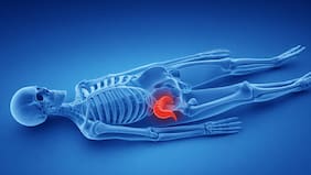 ¿El apéndice es realmente innecesario en el cuerpo? Esto dice la ciencia