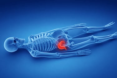 ¿El apéndice es realmente innecesario en el cuerpo? Esto dice la ciencia