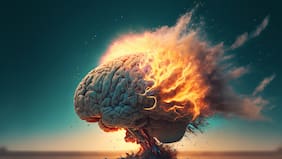 Estudio revela que los humanos tenemos un séptimo sentido