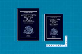 Constitución Culebra