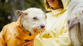 Llegó el frío a Santiago: cuándo serán las próximas lluvias, según el pronóstico