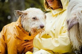 Llegó el frío a Santiago: cuándo serán las próximas lluvias, según el pronóstico
