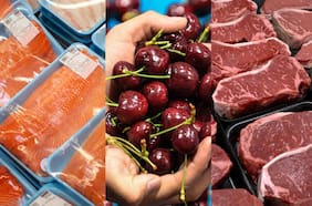 Los alimentos, el otro gran pilar de las exportaciones chilenas, ya representa la mitad del cobre