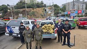 Sernapesca Valparaíso incauta más de una tonelada de recursos de pesca ilegal