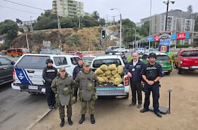 Sernapesca Valparaíso incauta más de una tonelada de recursos de pesca ilegal en operativo en Caleta Portales