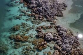 Marte en la Tierra | Un lago turco tendría pistas sobre la vida antigua en el planeta