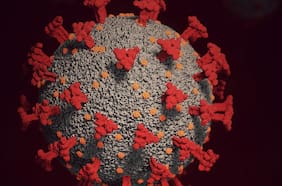 ¿Podría Ómicron mutar para volverse más letal?¿Existe realmente “Deltacron”? Tres científicos responden seis preguntas claves de la nueva variante