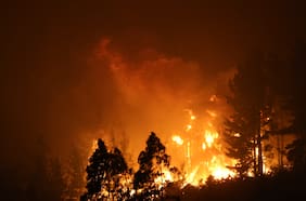 Contraloría toma razón de decretos de estado de catástrofe en Ñuble y Biobío tras críticas al gobierno por demora en el ingreso