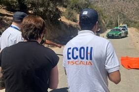 Tolerancia cero al delito