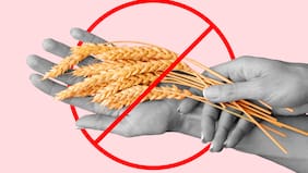 Diputados ingresan proyecto que busca garantizar una alimentación segura y evitar discriminación hacia personas celíacas