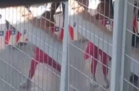 Investigan presunta grabación de Cathy Barriga bailando zumba en la cárcel de San Miguel