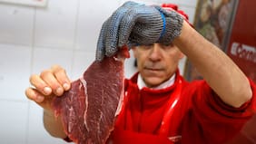 ChileMeat alerta sobre paralización de producción de carne en el sur por paro del SAG