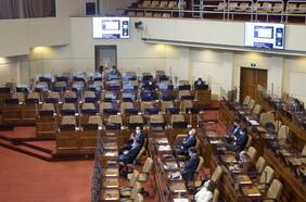 Cámara rechaza proyecto que obligaba a los partidos a renunciar al uso de la violencia como método de acción política