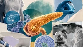 El prometedor ensayo clínico que logró reactivar la producción de insulina en la diabetes tipo 1