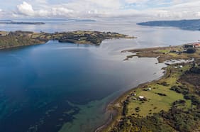 Las cinco claves para invertir en conservación verde