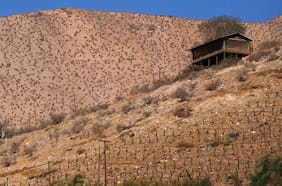 Día Mundial de la Lucha contra la Sequía y la Desertificación: expertos advierten que el cambio climático traerá años cada vez más secos para el país