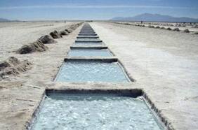 La persona más rica de Australia se acerca a bloquear la oferta de SQM por Azure