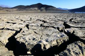 Eco ansiedad: las consecuencias en salud mental ante la ruina ambiental del planeta