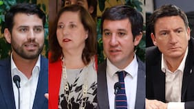 Los rostros de la derecha, la izquierda y el PDG que van a poner la música en el nuevo Congreso