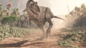 Estudio revela cuántos años tardó el T. Rex en alcanzar su tamaño adulto de ocho toneladas