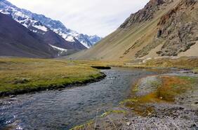 Los desconocidos humedales de los Andes: Estudio dice que pueden abastecer de agua hasta 500.000 personas
