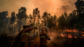 Alcalde de San Ignacio decreta estado de emergencia comunal por incendios forestales que amenazan a Ñuble