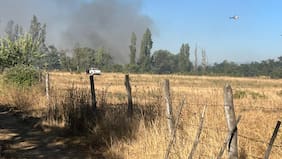 Declaran alerta roja en Ñiquén por incendio forestal cercano a sectores poblados