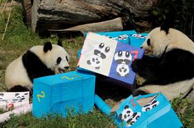 Con osos panda de por medio, China reimpulsa una nueva era diplomática con Estados Unidos y el mundo