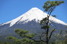 Conaf confirma fallecimiento de excursionista extraviado en Volcán Osorno