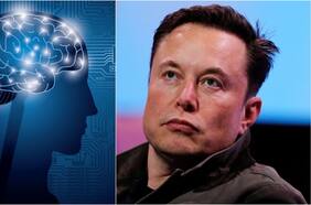 Neuralink: empresa de Elon Musk confirma que ya puede probar chips cerebrales en humanos