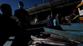 Gobierno define cuota de merluza para 2026 y PacificBlu arremete contra decisión: “Confirma el fracaso total de la gestión”