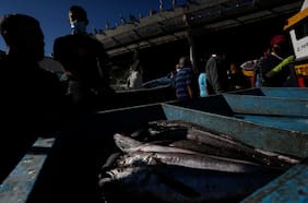 Gobierno define cuota de merluza para 2026 y PacificBlu arremete contra decisión: “Confirma el fracaso total de la gestión”