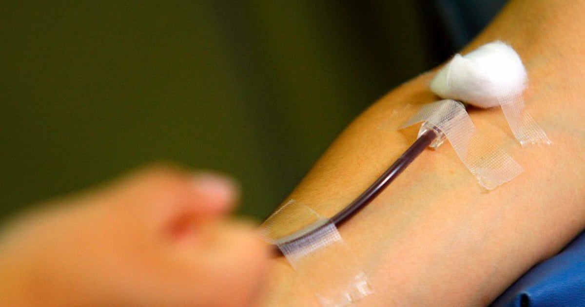 Déficit crítico de donaciones de sangre en la RM durante Fiestas Patrias: ¿qué implica para la salud pública?