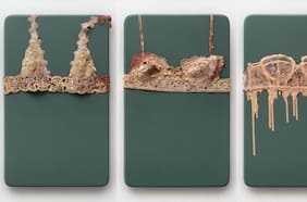 Ingrid Lauw: transformar las cicatrices en arte