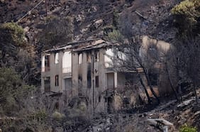 Incendios forestales en el sur de Italia: ¿un nuevo negocio para la mafia?