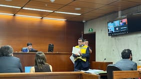 Trama bielorrusa: Lagos insiste en salir de la cárcel y recurre a la Suprema para revisar amparo