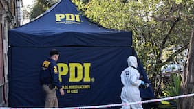 DPR del Biobío reporta un fallecido por caída de árbol en Negrete en medio del sistema frontal
