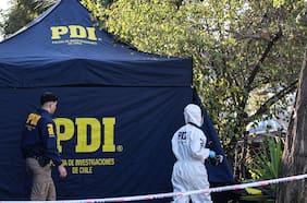 DPR del Biobío reporta un trabajador fallecido por caída de árbol en Negrete en medio labores por sistema frontal